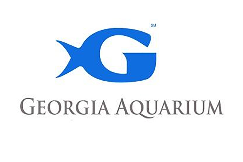 Minimalist Aquarium Clown fish logo design template vector illustration  Stock Vector | Adobe Stock